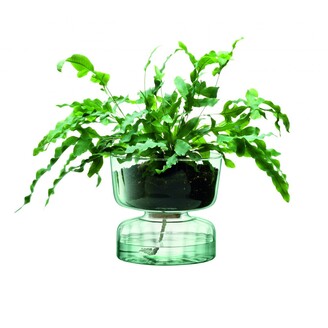 Canopy Self Watering Planter Recycled/Part Optic LSA