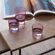 Gems Tumbler 560ml Assorted Garnet Set 4 LSA