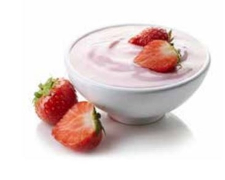 Youghurt maker FERMENTO 4 G3 Ferrari