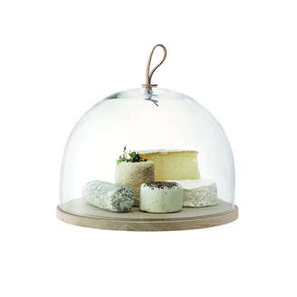 Ivalo Dome & Ash Base LSA