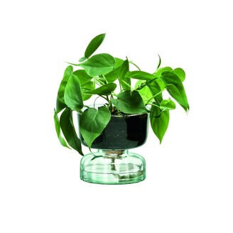 Canopy Self Watering Planter Recycled/Part Optic LSA