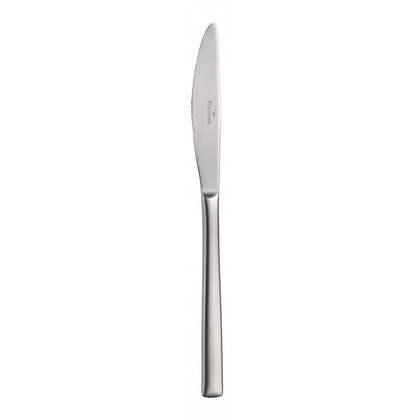 Kniv Synthesis Mystique Pintinox